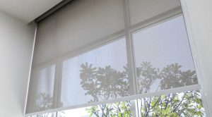 BLINDS